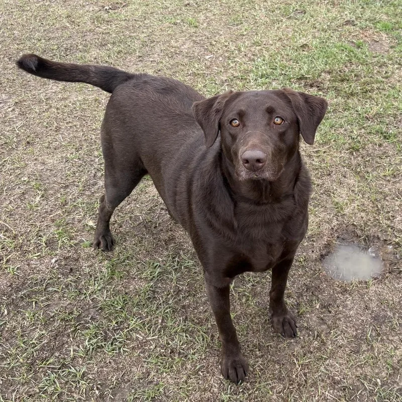 Ct Caroline thumbnail 2