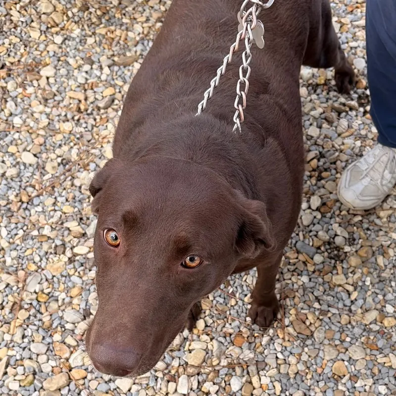 Ct Caroline thumbnail 5