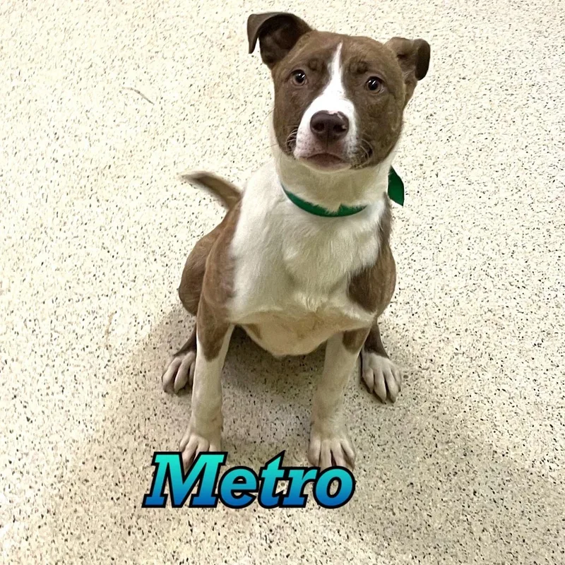 Metro thumbnail 3