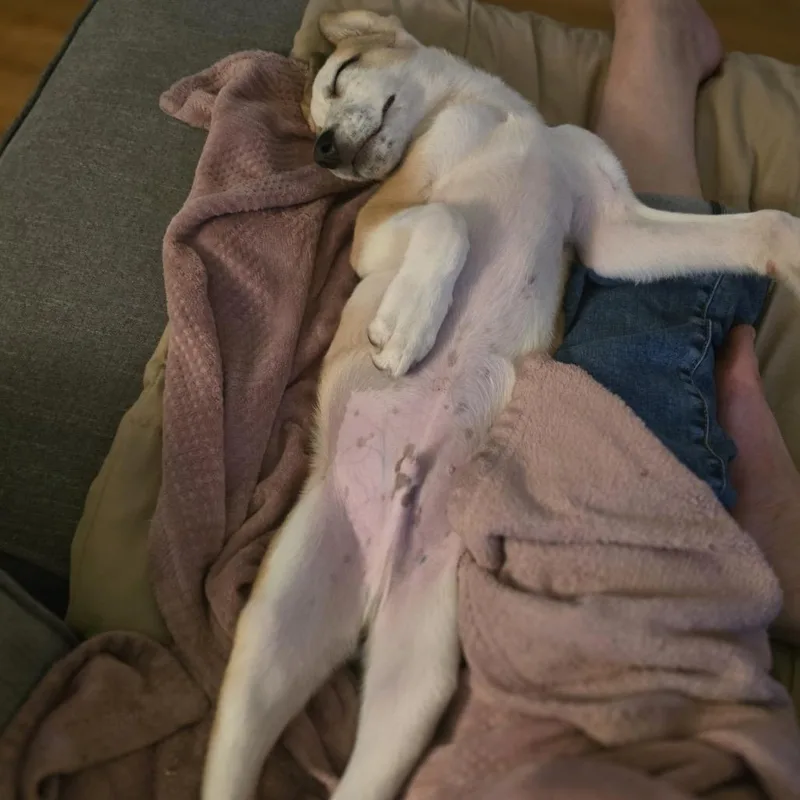 Gus Gus thumbnail 6