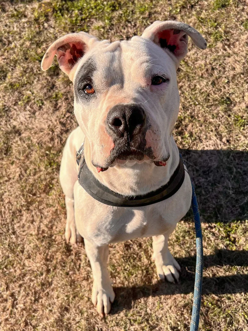 Bernadette thumbnail 2