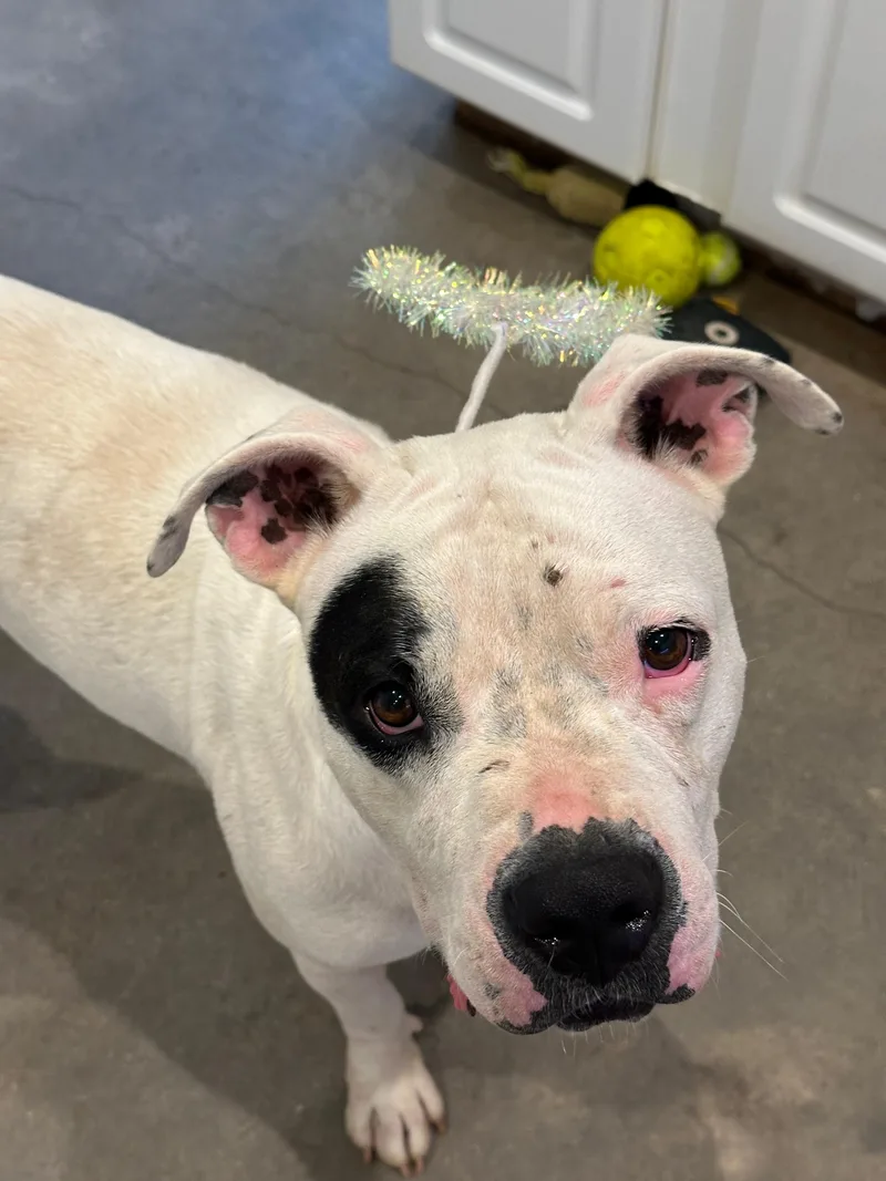 Bernadette thumbnail 3