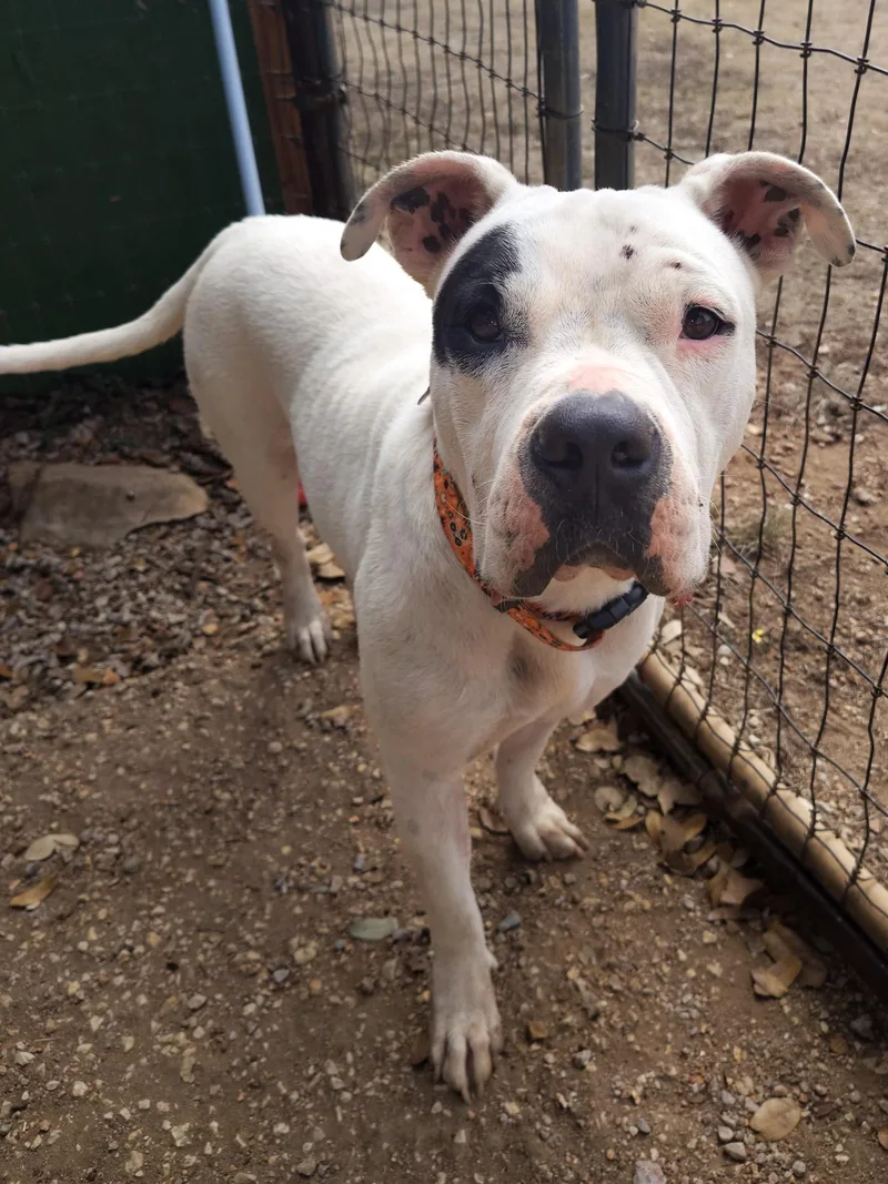 Bernadette thumbnail 4