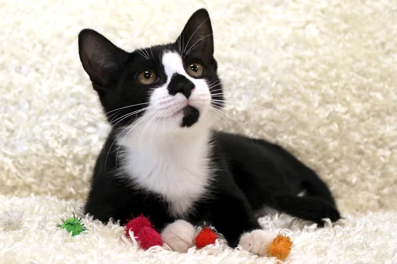 Penny Wise thumbnail 2