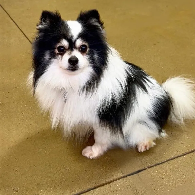 Levi Jack thumbnail 2