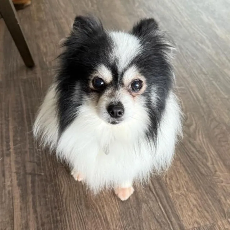 Levi Jack thumbnail 6