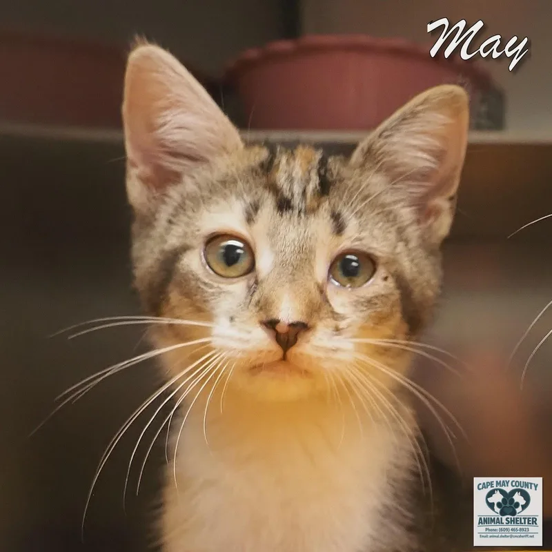 May & July thumbnail 5