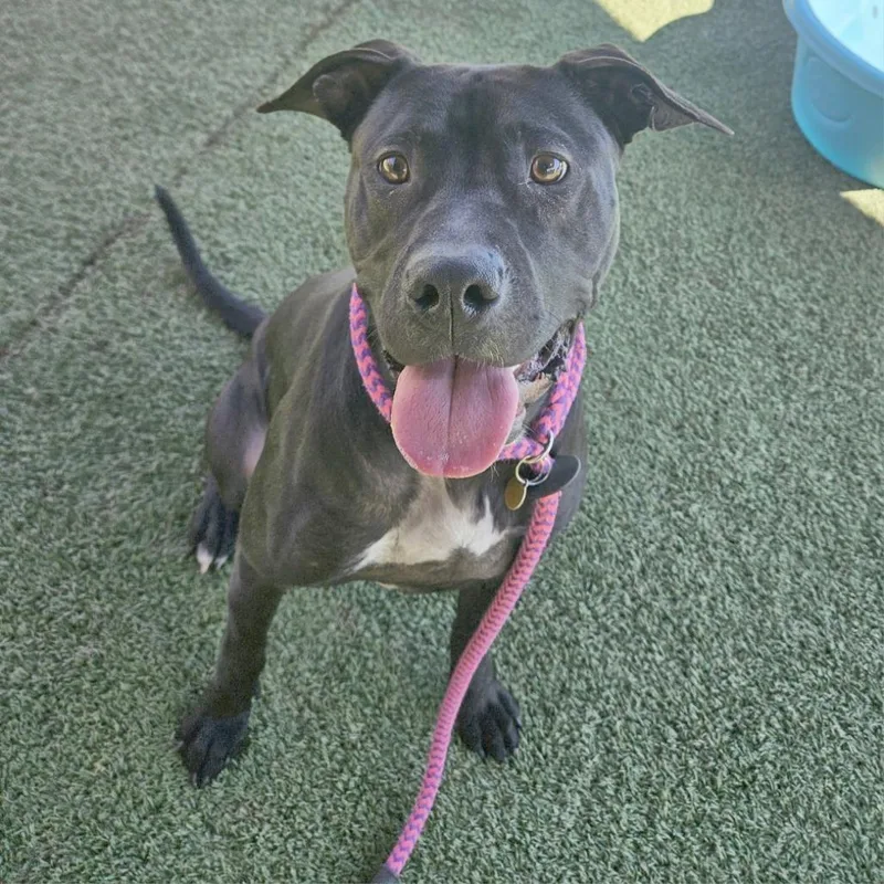 Lunchbox thumbnail 2