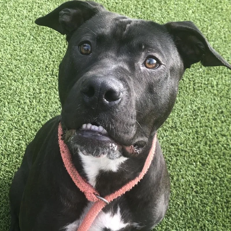 Lunchbox thumbnail 4