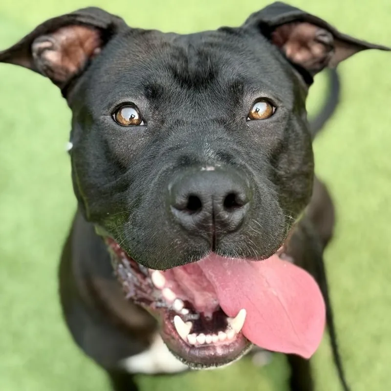 Lunchbox thumbnail 5