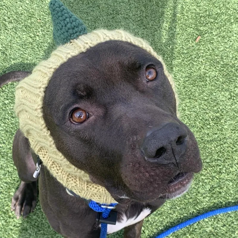 Lunchbox thumbnail 6