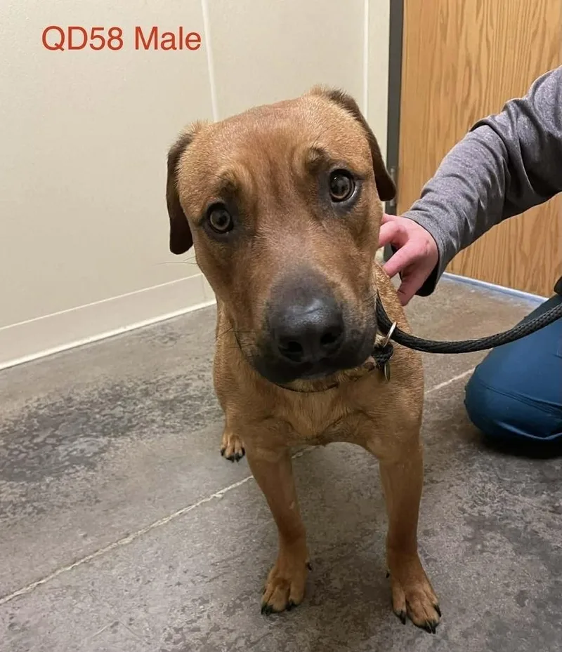 Paul Copy thumbnail 2