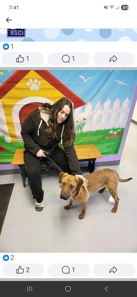 Paul Copy thumbnail 3