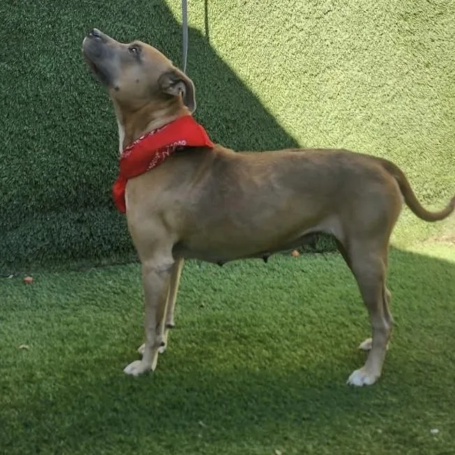 Charlene thumbnail 2