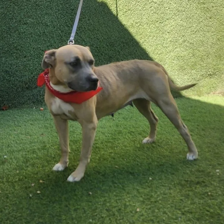 Charlene thumbnail 3