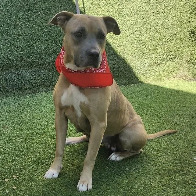 Charlene thumbnail 4