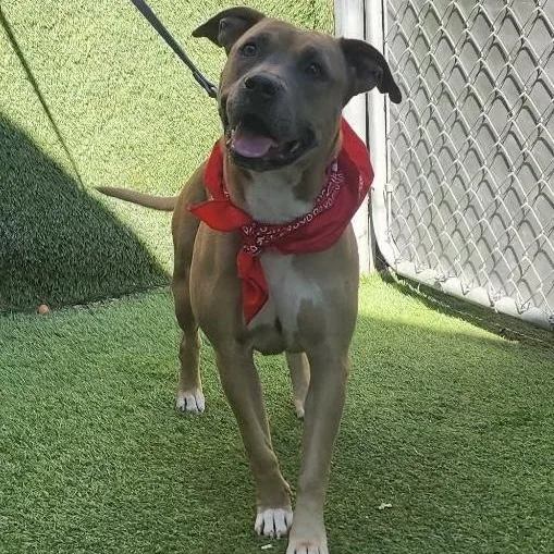 Charlene thumbnail 5