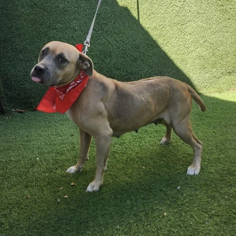 Charlene thumbnail 6