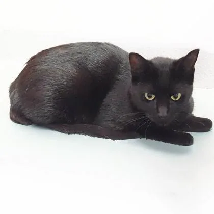 Juanita