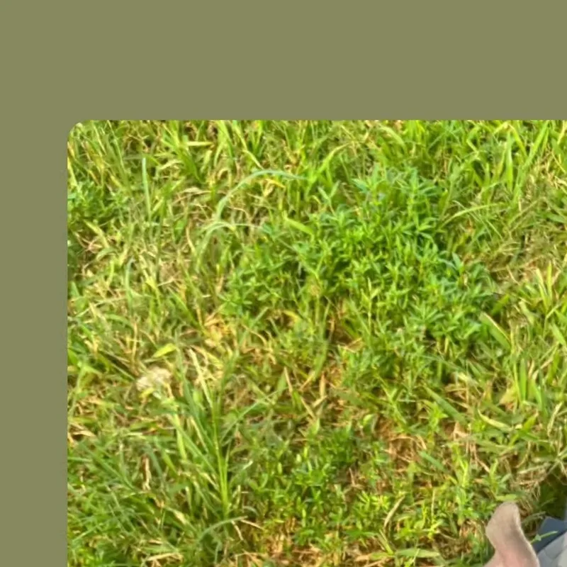 Maui thumbnail 2