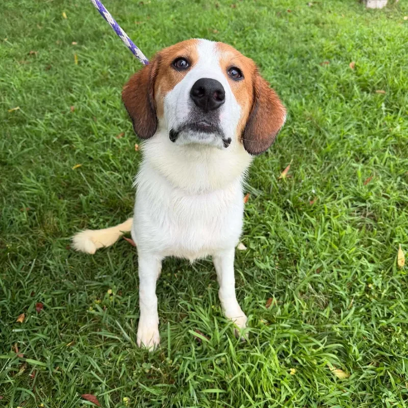 Nellie thumbnail 2