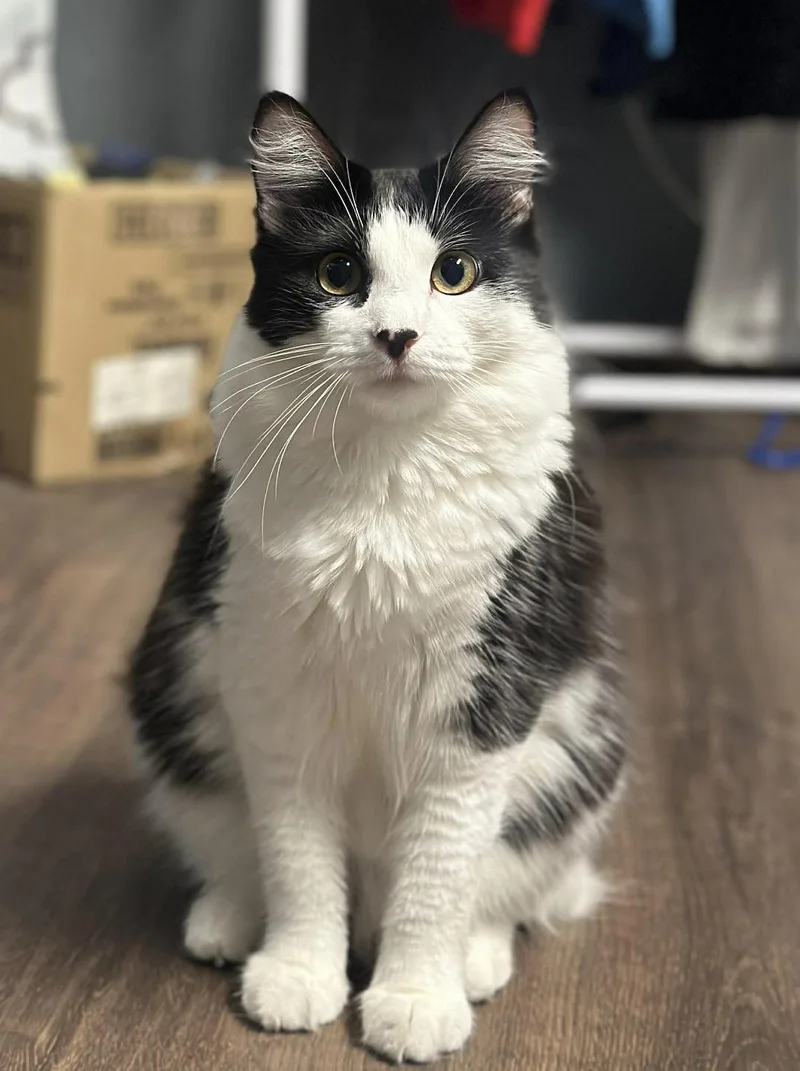 Charlotte  So Pretty!