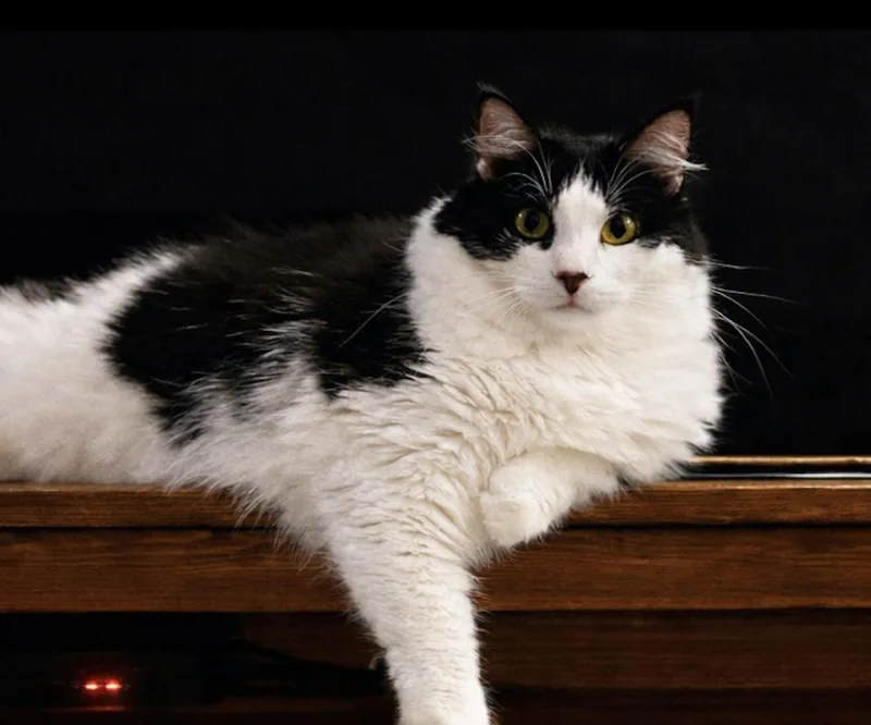 Charlotte  So Pretty! thumbnail 3