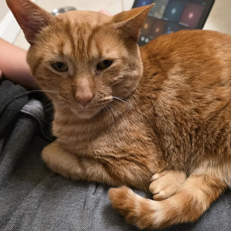 Freddie thumbnail 4