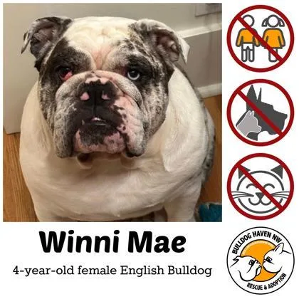 Winni Mae