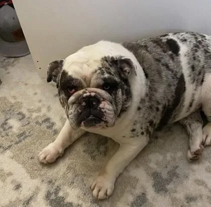 Winni Mae thumbnail 2