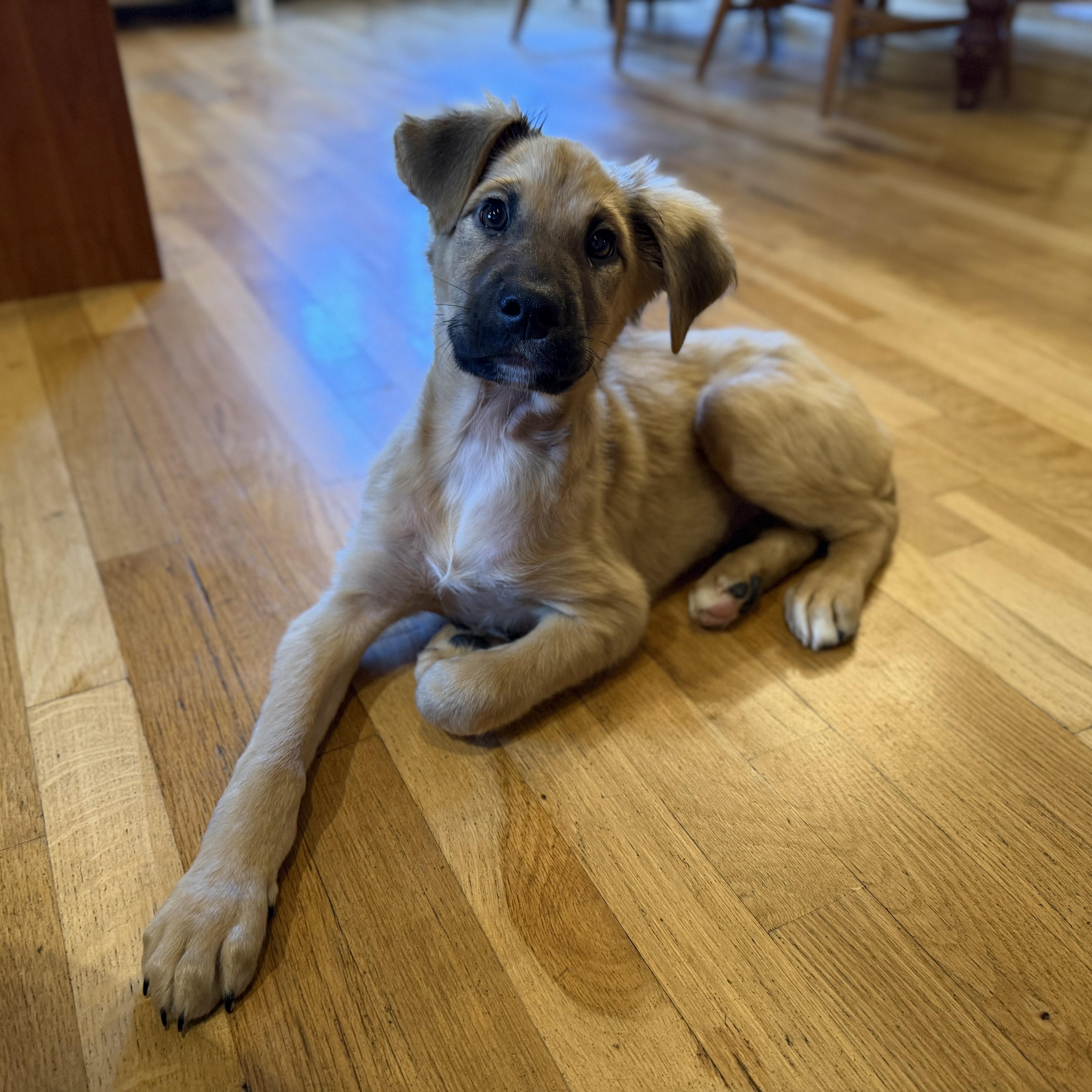 Beethoven thumbnail 2