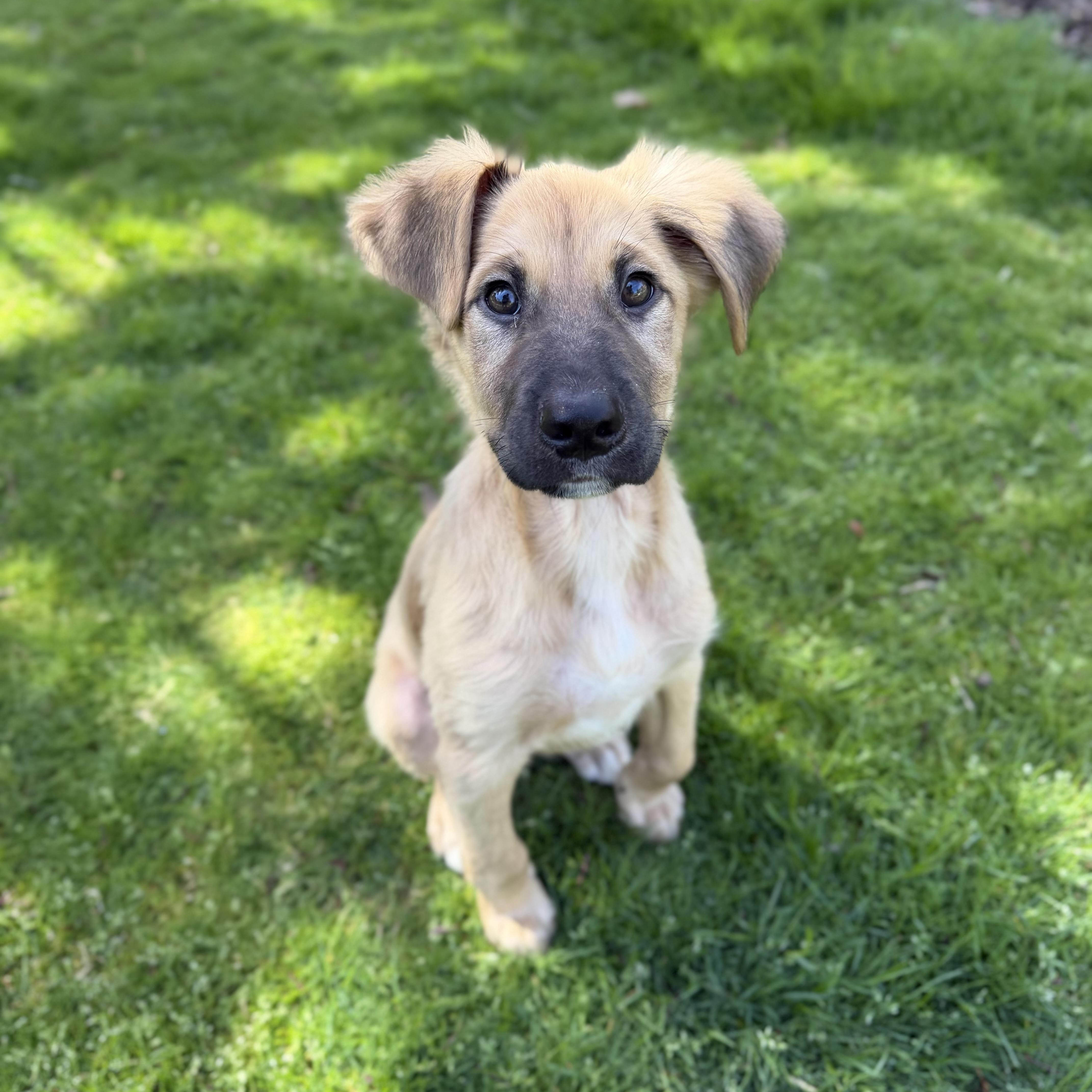 Beethoven thumbnail 3