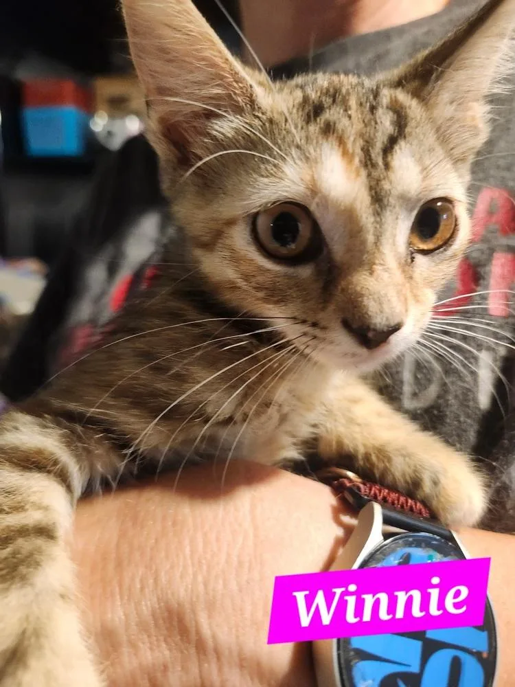 Winnie thumbnail 2