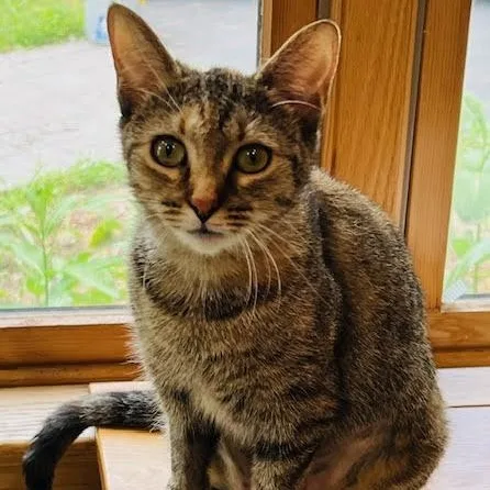 Margaret
