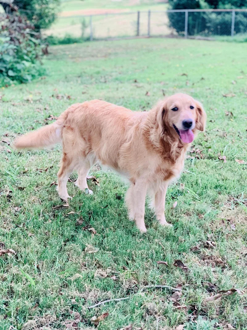 Bella