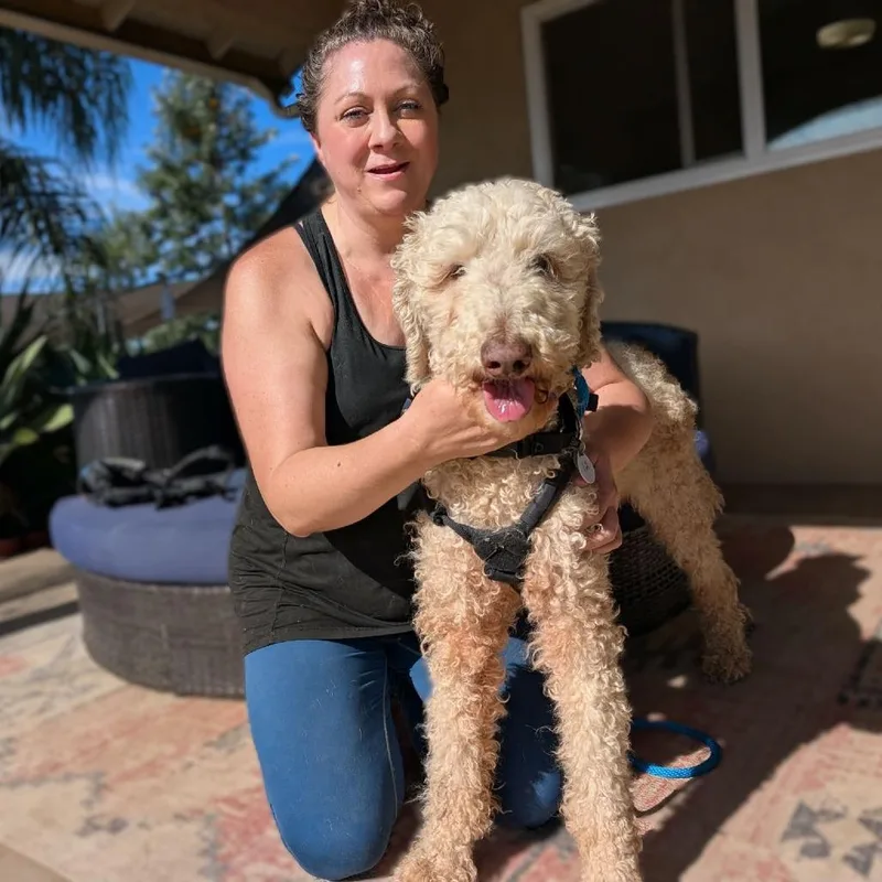 String Bean thumbnail 4