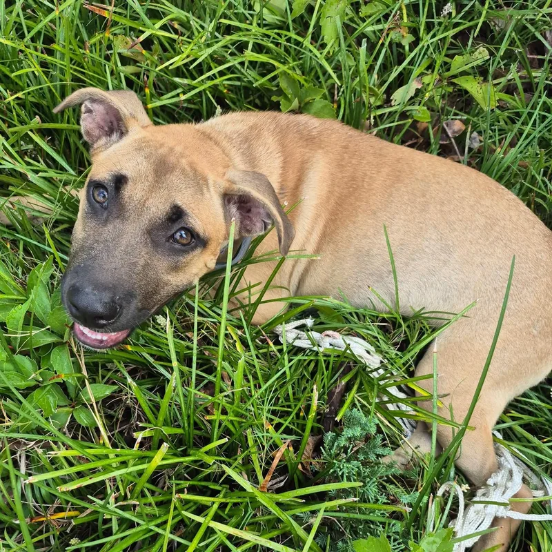 Naomi Wildman thumbnail 2