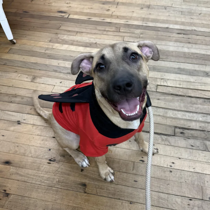 Naomi Wildman thumbnail 3