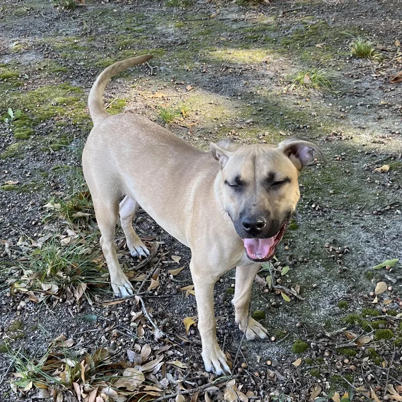 Naomi Wildman thumbnail 4