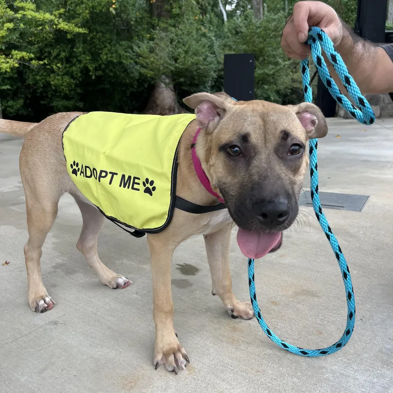 Naomi Wildman thumbnail 6