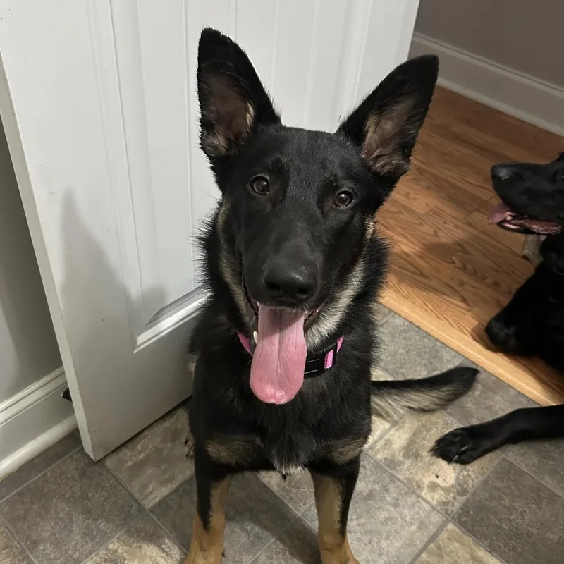 Ember aka Nyx