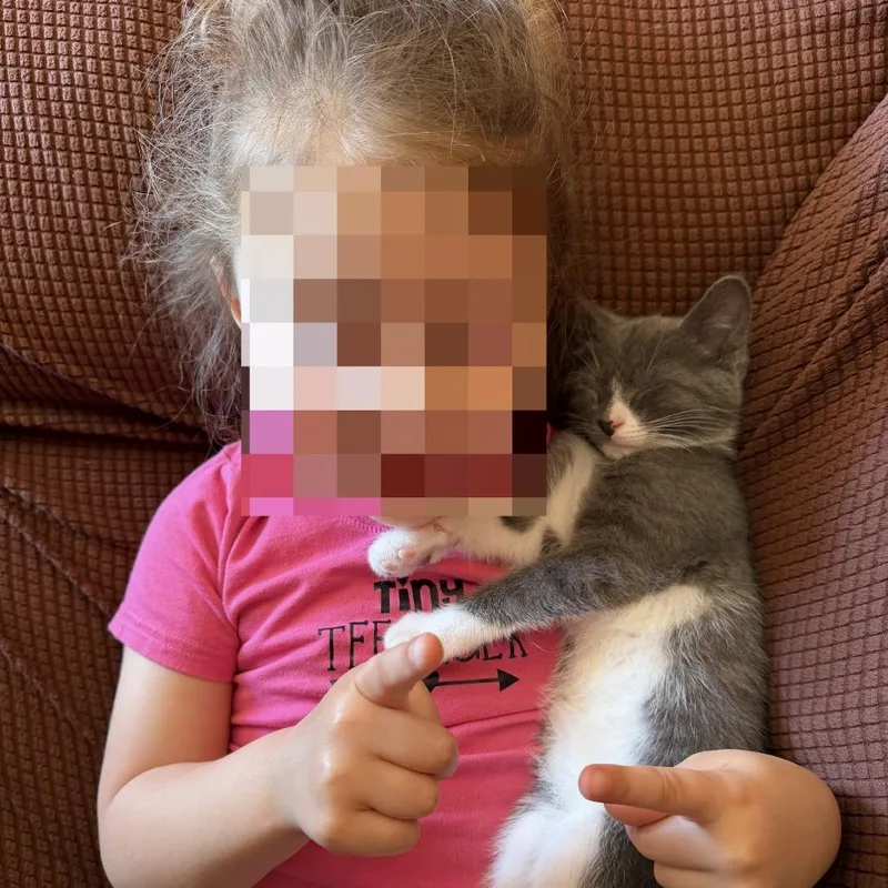 Romaineat Petco