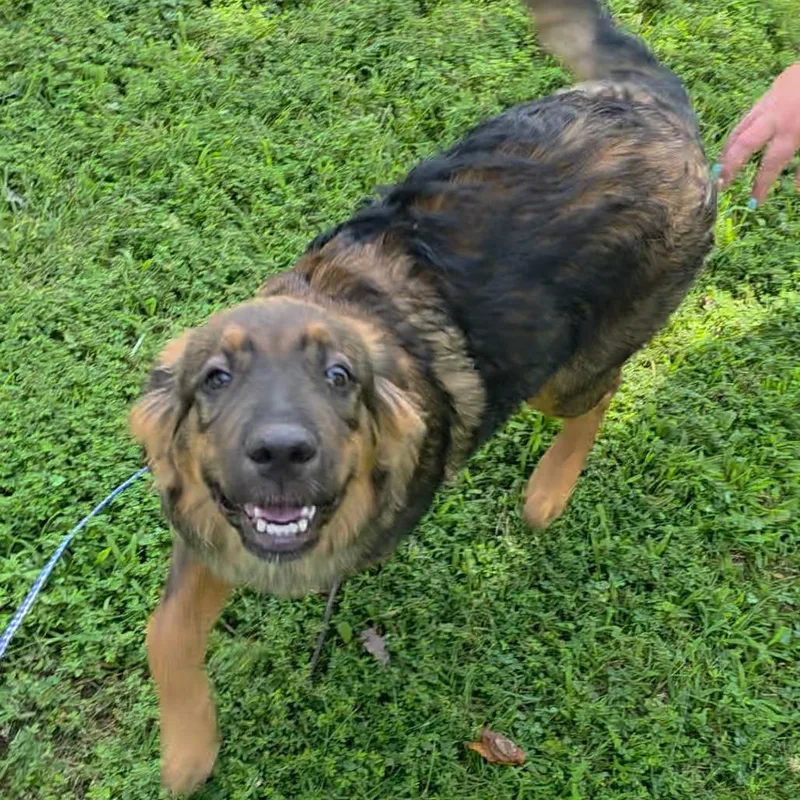 Greta
