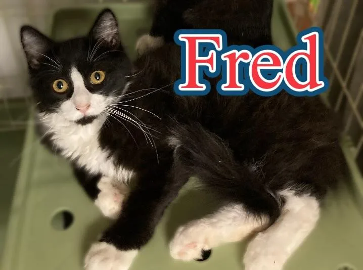 Fred