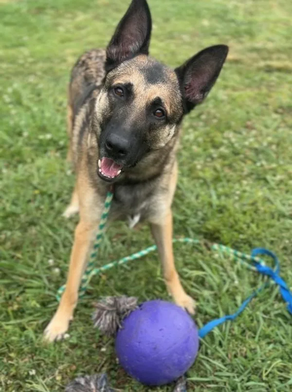 Anakin