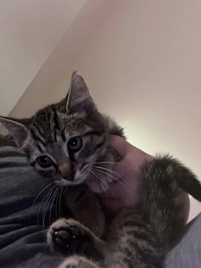 Johnny Depp thumbnail 2