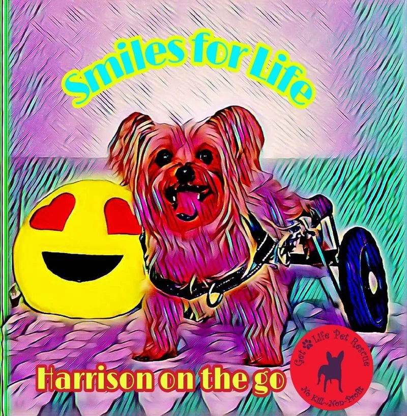 Harrison On Wheels thumbnail 2