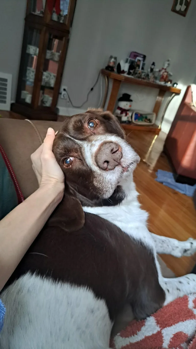 Mibuddy Holly thumbnail 2