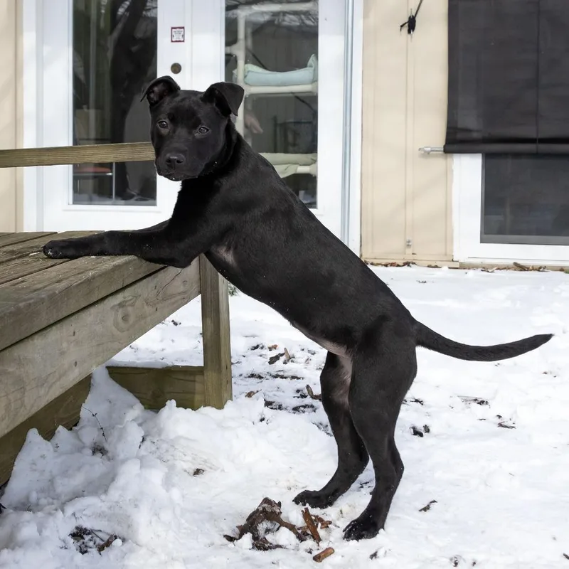 Gina Linetti thumbnail 4