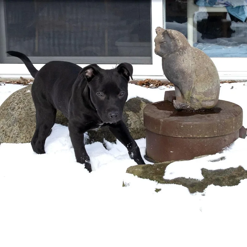 Gina Linetti thumbnail 6